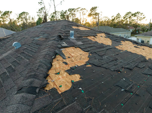 Best Roof Installation  in Cowarts, AL